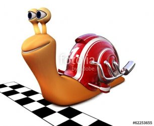 Rennschnecke.jpg