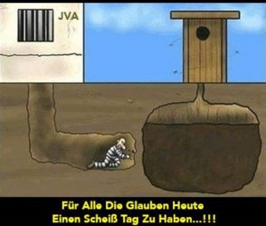 scheiß Tag.jpeg