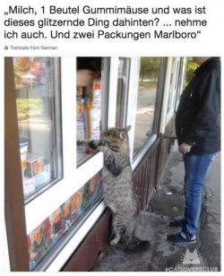 tUnbenannt.JPG