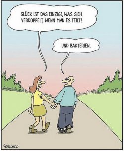 1Unbenannt.JPG