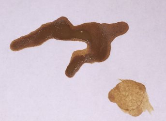 farbe.jpg