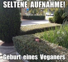 1Unbenannt.JPG