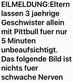 4Unbenannt.JPG