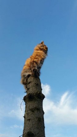 20170901_192937.jpg