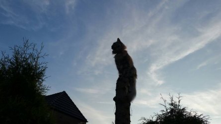 20170901_192827.jpg