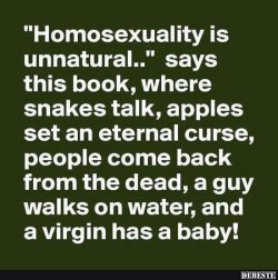 698bf9ffc15c39b21c09447ca79e75eb--fairytale-book-funny-memes.jpg