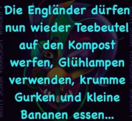 4Unbenannt.JPG