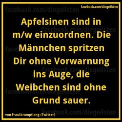 13a99e3bafae0eb9f5510f0dbcee8ae0--funny-facts-gut-gesagt.jpg