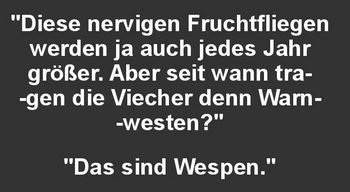3Unbenannt.JPG