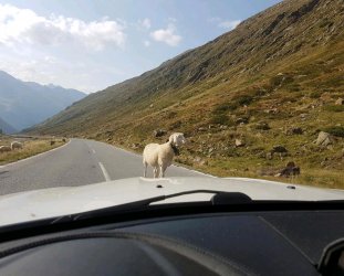 rps20170908_210132.jpg