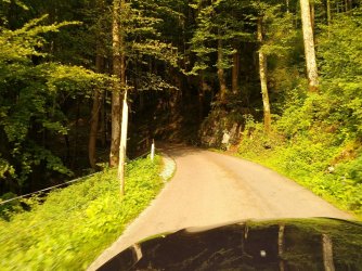 IMG_20170908_1655151.jpg