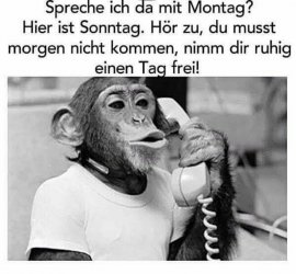 1505078599928.jpg