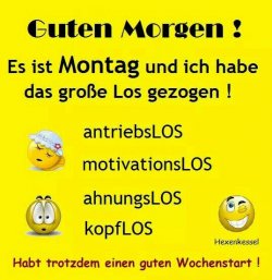 fdfc4403afb7507a70200ffacbb5ed0c--gl%C3%BCcklicher-montag-mondays.jpg