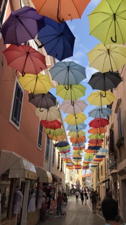 IMG_0861.jpg