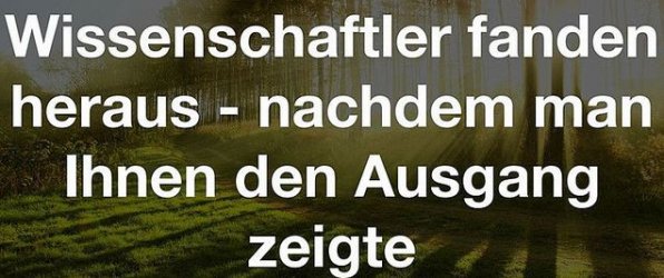 4Unbenannt.JPG