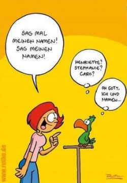 3Unbenannt.JPG