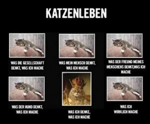 2Unbenannt.JPG