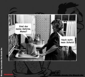 Gehirne.jpg