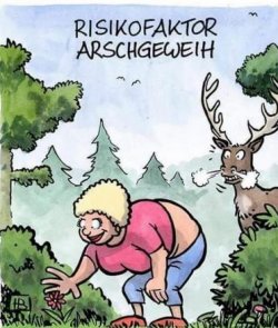 3Unbenannt.JPG