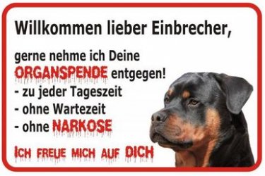 4Unbenannt.JPG