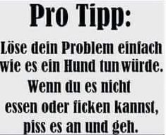 Hund.jpeg