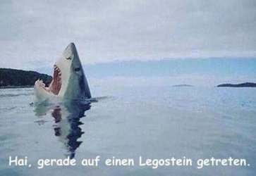 3Unbenannt.JPG