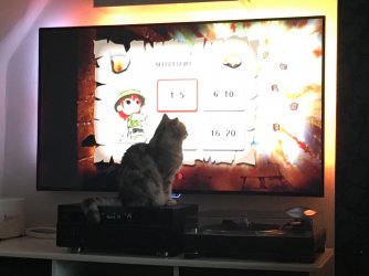 Lotte 60.JPG