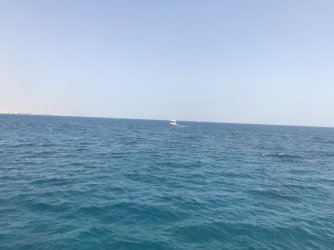 IMG_8998.jpg