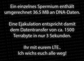 Wichs-Daten.jpeg