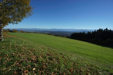 Snapseed.JPG Snapseed.JPG