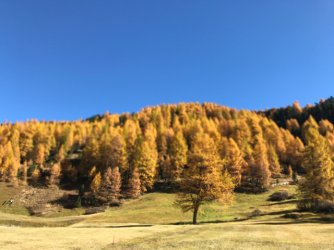 IMG_6059.JPG