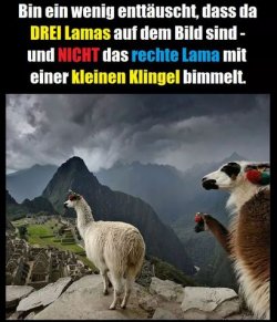 tUnbenannt.JPG