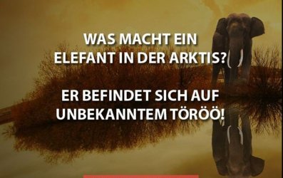 Elef.JPG