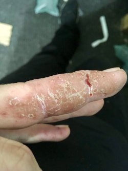 IMG_5298.JPG IMG_5298.JPG