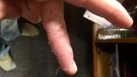 IMG_5299.JPG IMG_5299.JPG