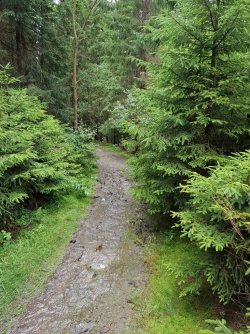 IMG-20170727-WA0038 (768x1024).jpg