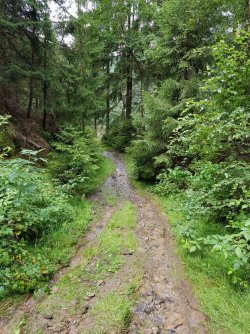 IMG-20170727-WA0030 (768x1024).jpg