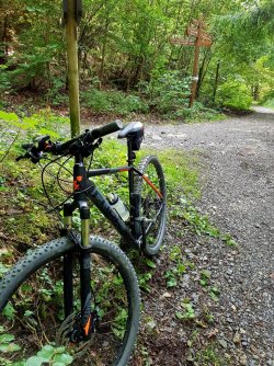 20170901_164613 (768x1024).jpg