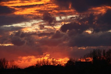 7516777616_IMG_6411.JPG