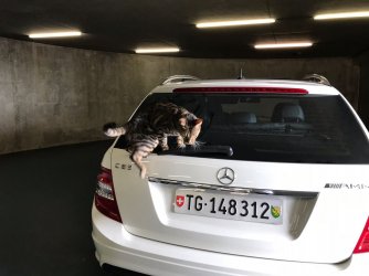 3 WhatsApp Image 2017-10-15 at 11.21.52 (1).jpeg 3 WhatsApp Image 2017-10-15 at 11.21.52 (1).jpeg