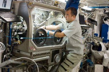 ISS-22_Soichi_Noguchi_in_the_Columbus_lab_small.jpg