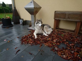 1508595158870.jpg 1508595158870.jpg