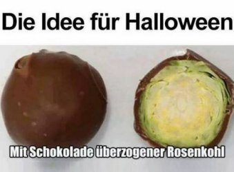 1Unbenannt.JPG