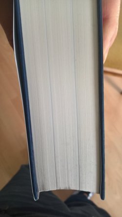 WP_20171031_12_03_16_Pro.jpg