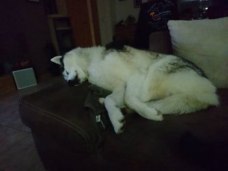 1509569651840.jpg 1509569651840.jpg