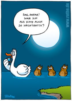 strip_2019.jpg