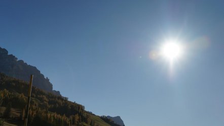 DSC06478.JPG