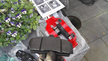 IMG_20171103_134716.jpg