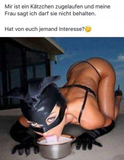 Kätzchen.jpeg