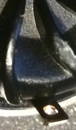 IMG_1399_1.jpg